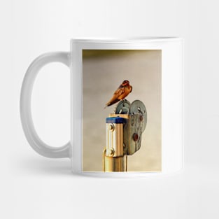 Red-Breasted Swallow Mug